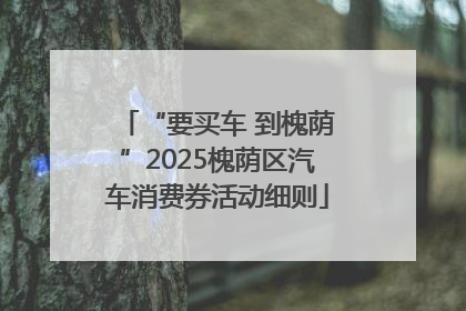 “要买车 到槐荫”2025槐荫区汽车消费券活动细则