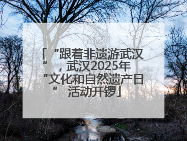 “跟着非遗游武汉”，武汉2025年“文化和自然遗产日” 活动开锣