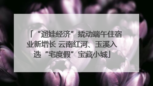 “遛娃经济”撬动端午住宿业新增长 云南红河、玉溪入选“宅度假”宝藏小城