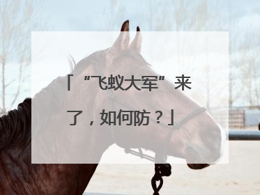 “飞蚁大军”来了，如何防？