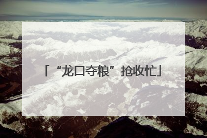 “龙口夺粮”抢收忙