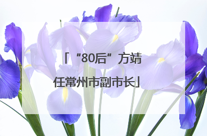 “80后”方靖任常州市副市长