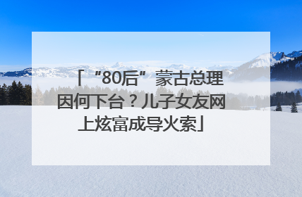 “80后”蒙古总理因何下台？儿子女友网上炫富成导火索
