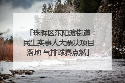 珠晖区东阳渡街道：民生实事人大票决项目落地 气排球赛点燃