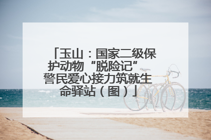 玉山：国家二级保护动物“脱险记” 警民爱心接力筑就生命驿站（图）