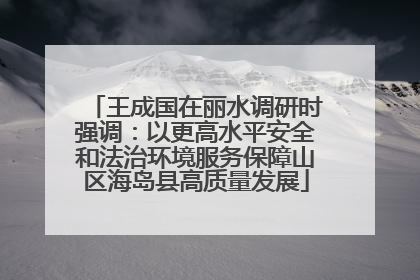 王成国在丽水调研时强调：以更高水平安全和法治环境服务保障山区海岛县高质量发展