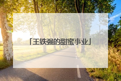 王铁强的甜蜜事业