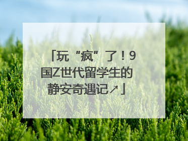 玩“疯”了！9国Z世代留学生的静安奇遇记↗