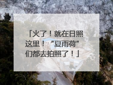 火了！就在日照这里！“夏雨荷”们都去拍照了！