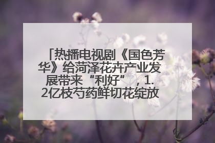 热播电视剧《国色芳华》给菏泽花卉产业发展带来“利好”，1.2亿枝芍药鲜切花绽放“国色芳华”
