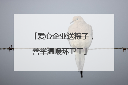 爱心企业送粽子，善举温暖环卫工