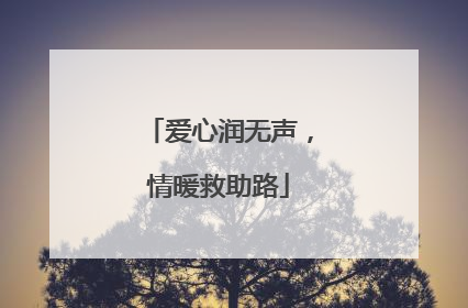 爱心润无声，情暖救助路