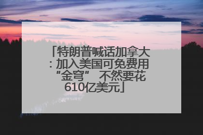 特朗普喊话加拿大：加入美国可免费用“金穹” 不然要花610亿美元