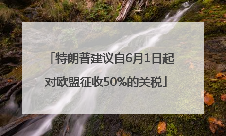 特朗普建议自6月1日起对欧盟征收50%的关税