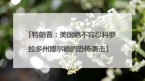 特朗普：美国绝不容忍科罗拉多州博尔德的恐怖袭击