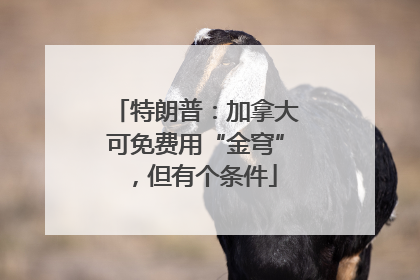 特朗普：加拿大可免费用“金穹”，但有个条件