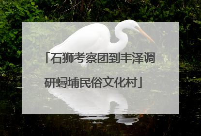 石狮考察团到丰泽调研蟳埔民俗文化村