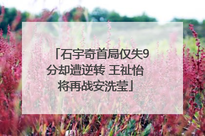 石宇奇首局仅失9分却遭逆转 王祉怡将再战安洗莹