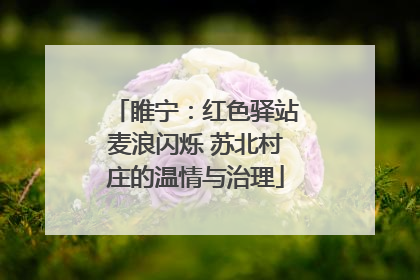 睢宁：红色驿站麦浪闪烁 苏北村庄的温情与治理