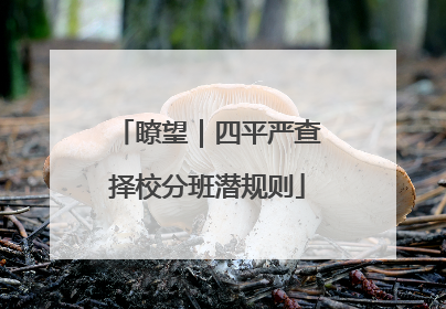 瞭望｜四平严查择校分班潜规则