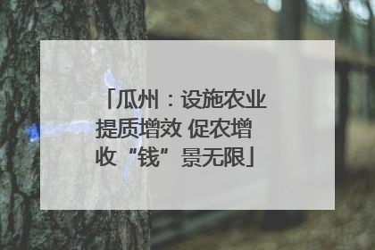 瓜州：设施农业提质增效 促农增收“钱”景无限