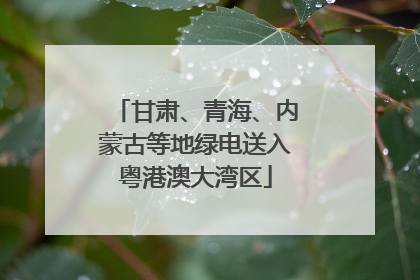 甘肃、青海、内蒙古等地绿电送入粤港澳大湾区