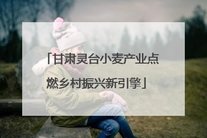 甘肃灵台小麦产业点燃乡村振兴新引擎