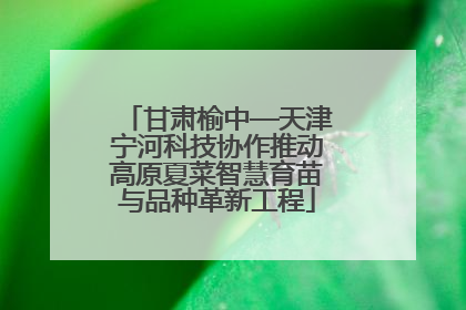 甘肃榆中—天津宁河科技协作推动高原夏菜智慧育苗与品种革新工程