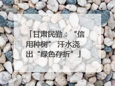 甘肃民勤：“信用种树” 汗水浇出“绿色存折”