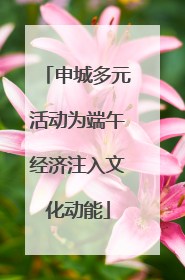 申城多元活动为端午经济注入文化动能