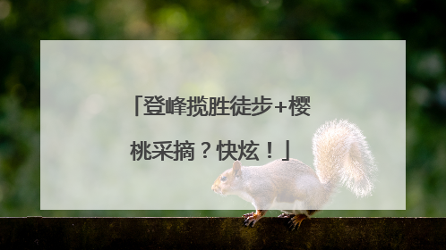 登峰揽胜徒步+樱桃采摘？快炫！