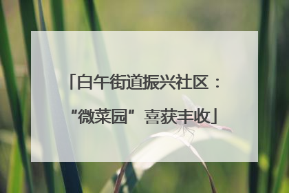 白午街道振兴社区：“微菜园”喜获丰收