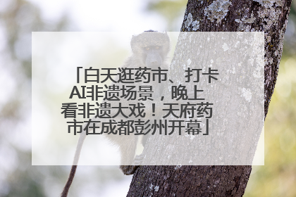 白天逛药市、打卡AI非遗场景，晚上看非遗大戏！天府药市在成都彭州开幕