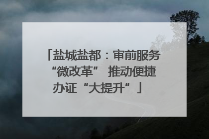 盐城盐都：审前服务“微改革” 推动便捷办证“大提升”