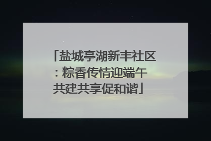 盐城亭湖新丰社区：粽香传情迎端午 共建共享促和谐