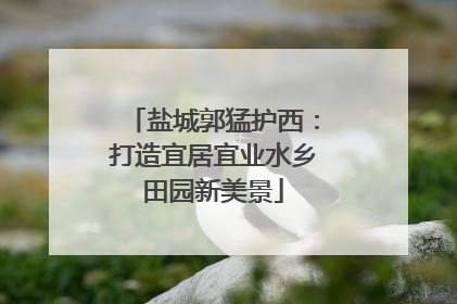 盐城郭猛护西：打造宜居宜业水乡田园新美景