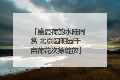 盛夏荷韵水陆同赏 北京圆明园千亩荷花次第绽放