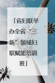 省妇联举办全省“三新”领域妇联赋能培训班