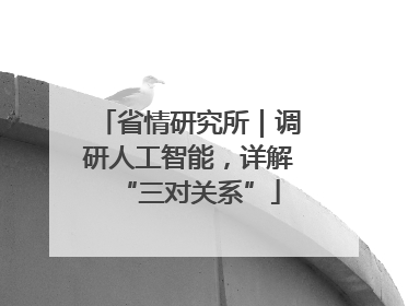 省情研究所｜调研人工智能，详解“三对关系”