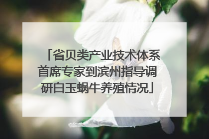 省贝类产业技术体系首席专家到滨州指导调研白玉蜗牛养殖情况