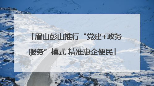 眉山彭山推行“党建+政务服务”模式 精准惠企便民