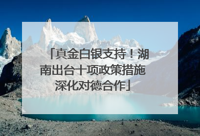 真金白银支持！湖南出台十项政策措施深化对德合作