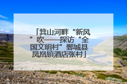 箕山河畔“新风”吹——探访“全国文明村”鄄城县凤凰镇酒店张村