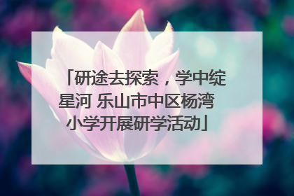 研途去探索，学中绽星河 乐山市中区杨湾小学开展研学活动