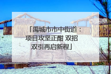禹城市市中街道：项目攻坚正酣 双招双引再启新程