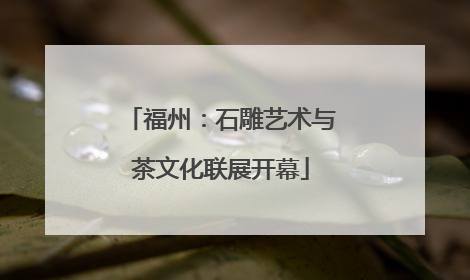 福州：石雕艺术与茶文化联展开幕