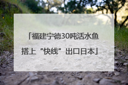 福建宁德30吨活水鱼搭上“快线”出口日本