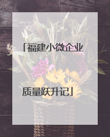 福建小微企业质量跃升记