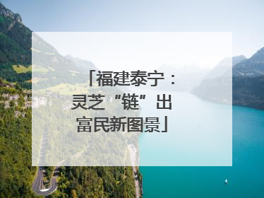 福建泰宁：灵芝“链”出富民新图景