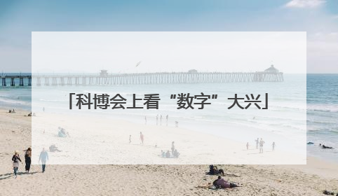 科博会上看“数字”大兴